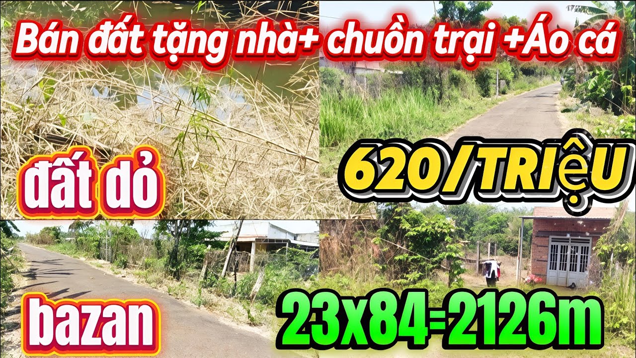 547/BÁN ĐẤT TẶNG KÈM NHÀ CHUỒNG TRẠI AO CÁ TO TRỒNG SẦU RIÊNG HẾT SẢY ĐẤT ĐỎ BAZAN MẶT TIỀN NHỰA