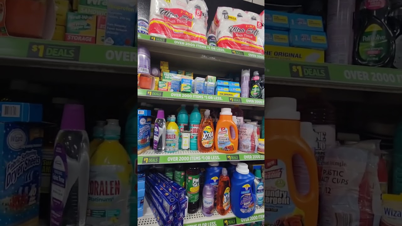 Is Dollar General better than Dollar Tree now on prices?? #dollartree #dollargeneral #dg #shopping