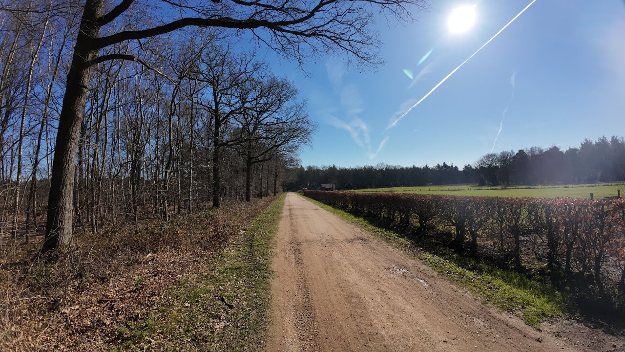 Walk in the Mastbos (Breda forest)