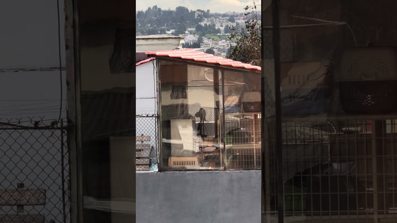 Quito Ecuador Morning