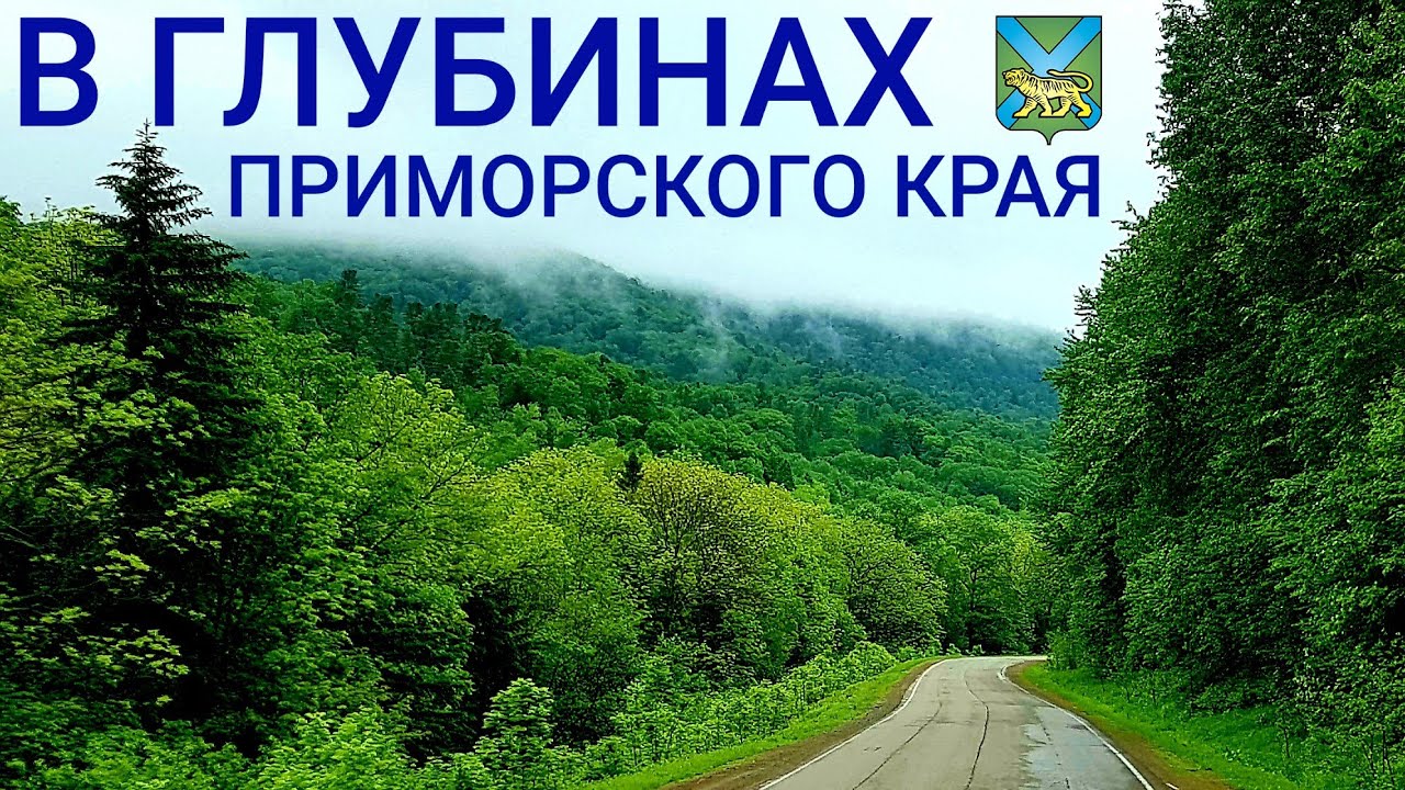 Как живёт Приморский край? | Родина вертолётов и эталон природы