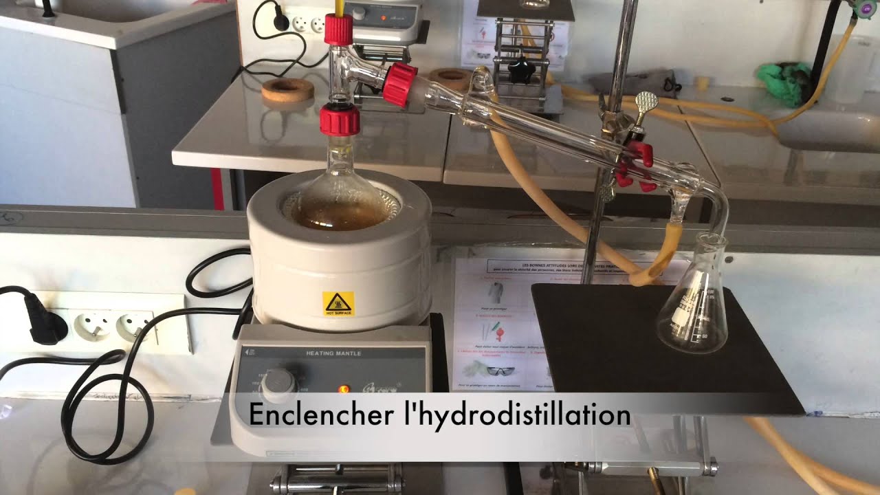 Extraction d'huile essentielle d'orange par hydrodistillation
