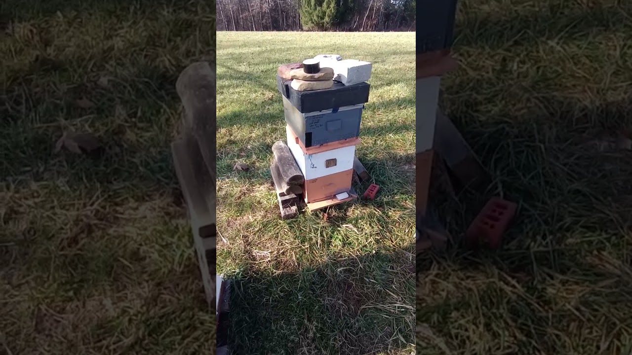 Saving money on equipment honey bees 