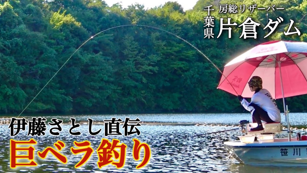 伊藤さとしと50上狙い巨ベラ釣り！マッシュを使った大型の釣り方を徹底解説【片倉ダム】