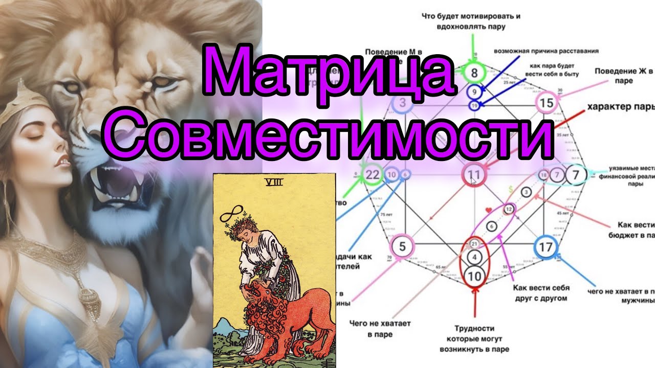 Матрица судьбы. Матрица совместимости 11 сила