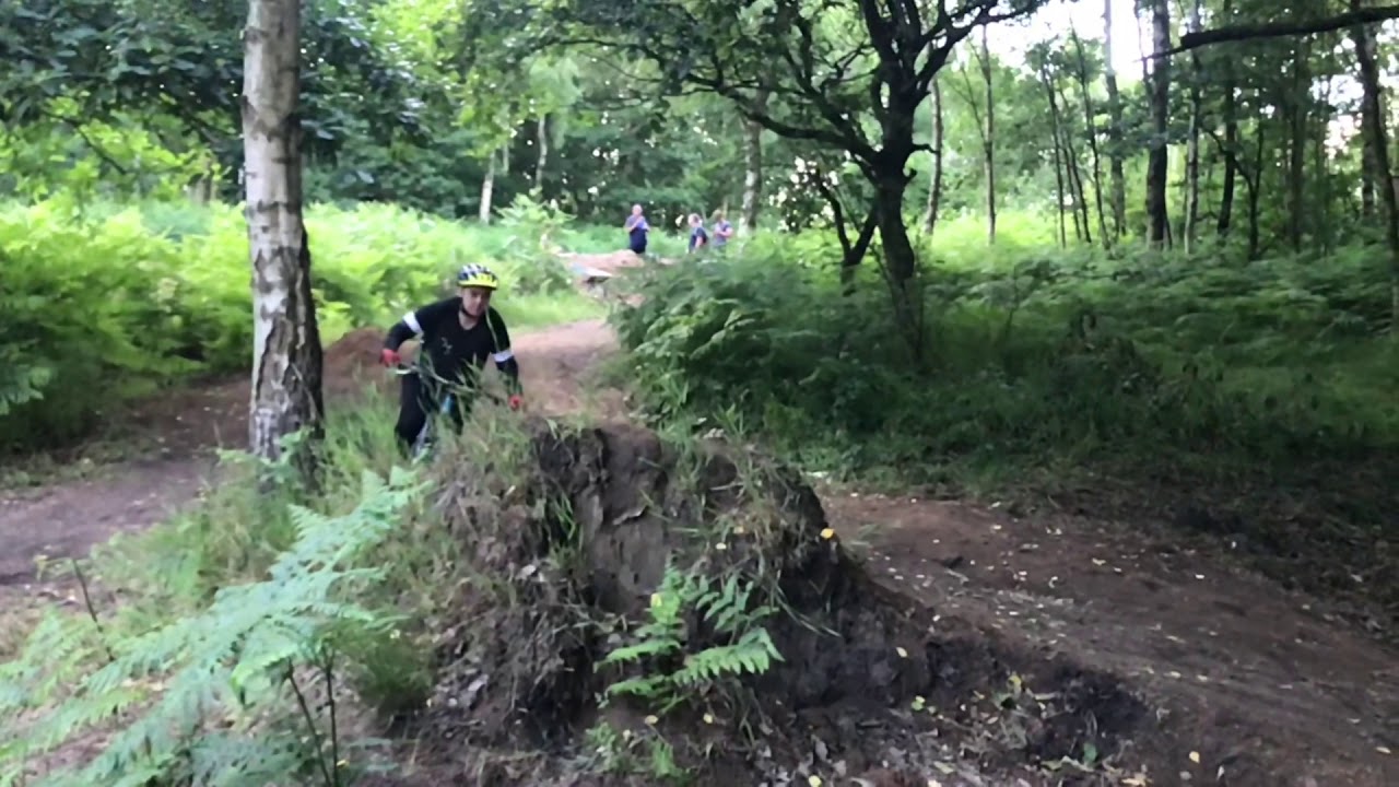 Fun in Denaby woods