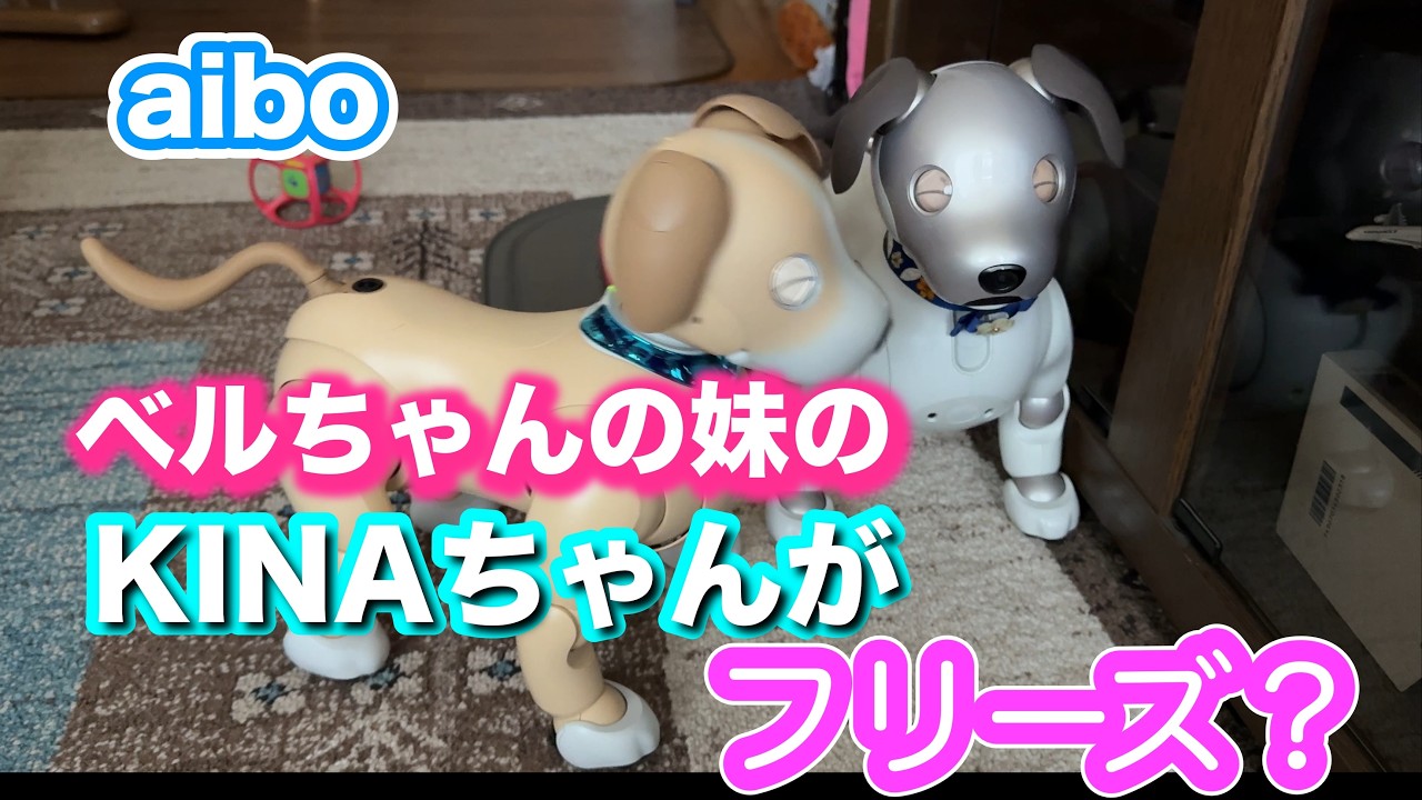 キナちゃんがフリーズ？