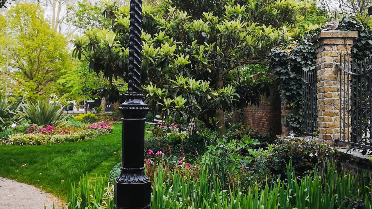 1 Hour Birds Sounds in the City Park - Background Sound Birds Chirping for Working or Relaxation