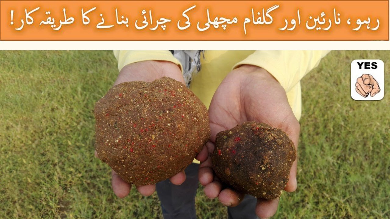 Magic Carp Fishing Bait; By Mr. Mustujab ur Rahman Hashmi. (FOR PAKISTANI AND INDIAN DAMS)