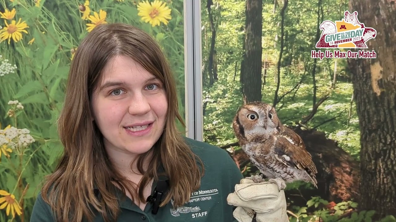 Meet The New Raptor Ambassadors in Minnesota