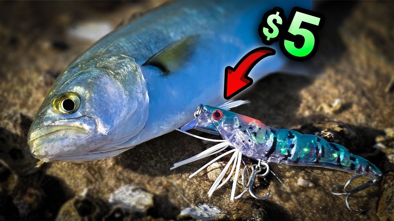 This Cheap Lure Keeps Catching Fish!