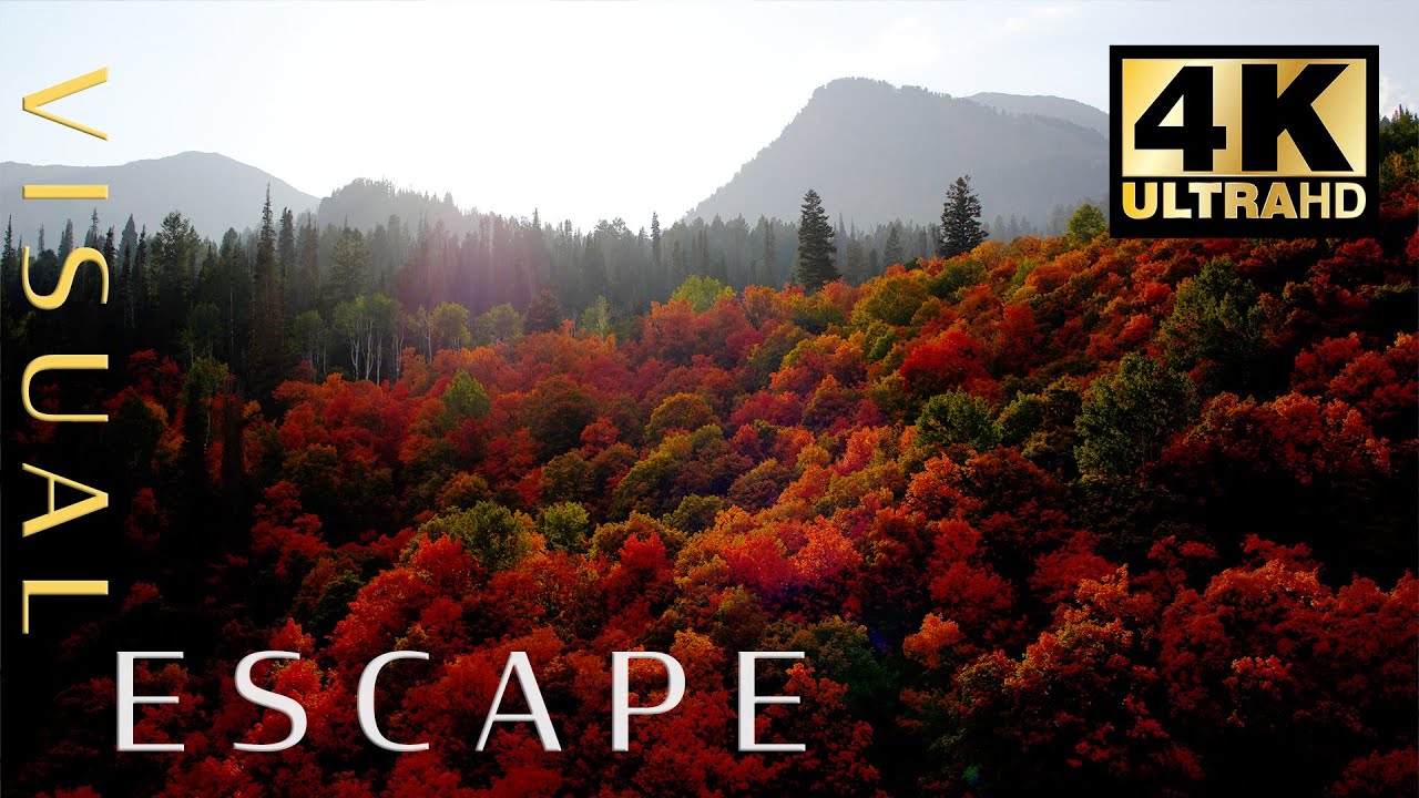 4K Aerial Autumn Ambience | Over 2 Hours of Drone Footage of Fall Leaves with Peaceful Music