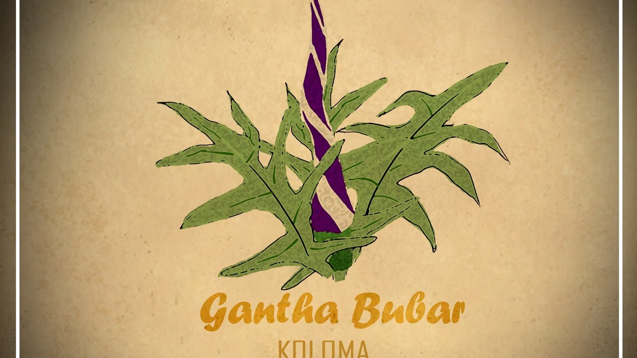 Gantha Bubar I Koloma I (official Lyrical Video)