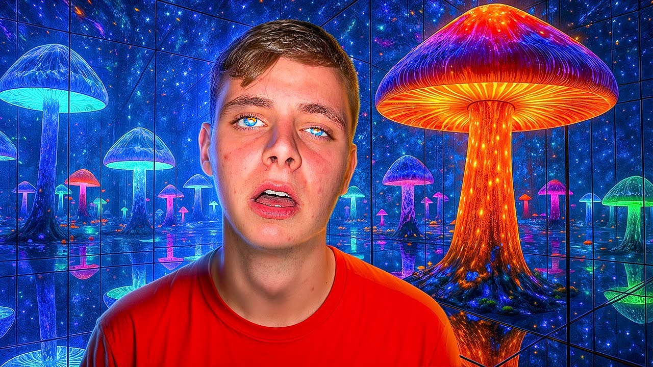 Mushroom Experience In Japan!