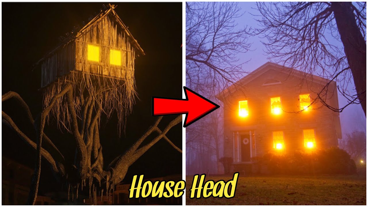 House Head In Real Life