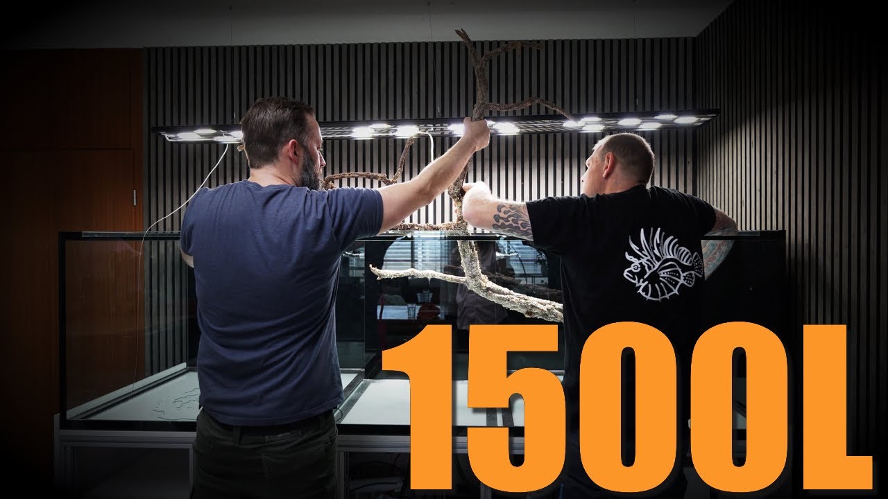 250x85x70 Süßwasseraquarium braucht DEKO und PFLANZEN!