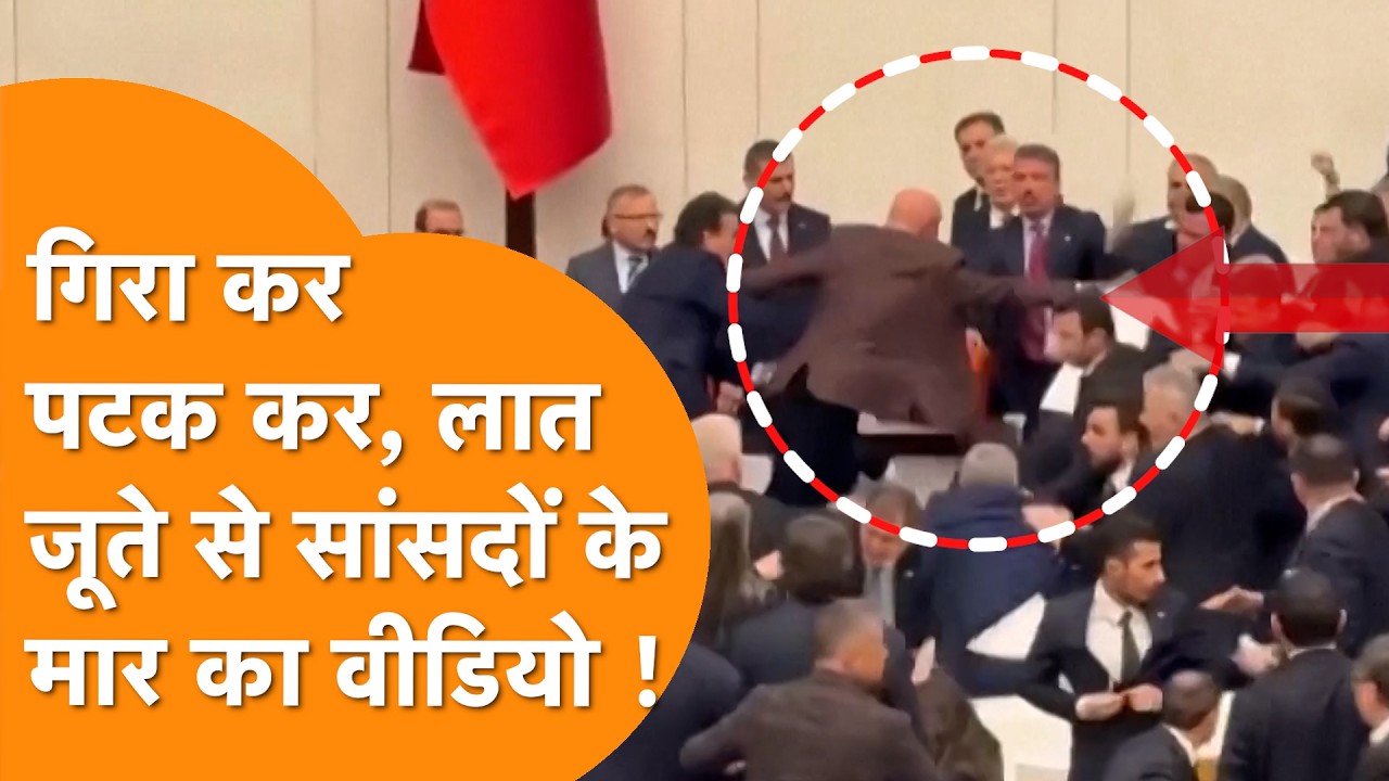 Turkey Parliament में सांसदो के बीच लात जूते, थप्पड़ की मार का Viral Video !