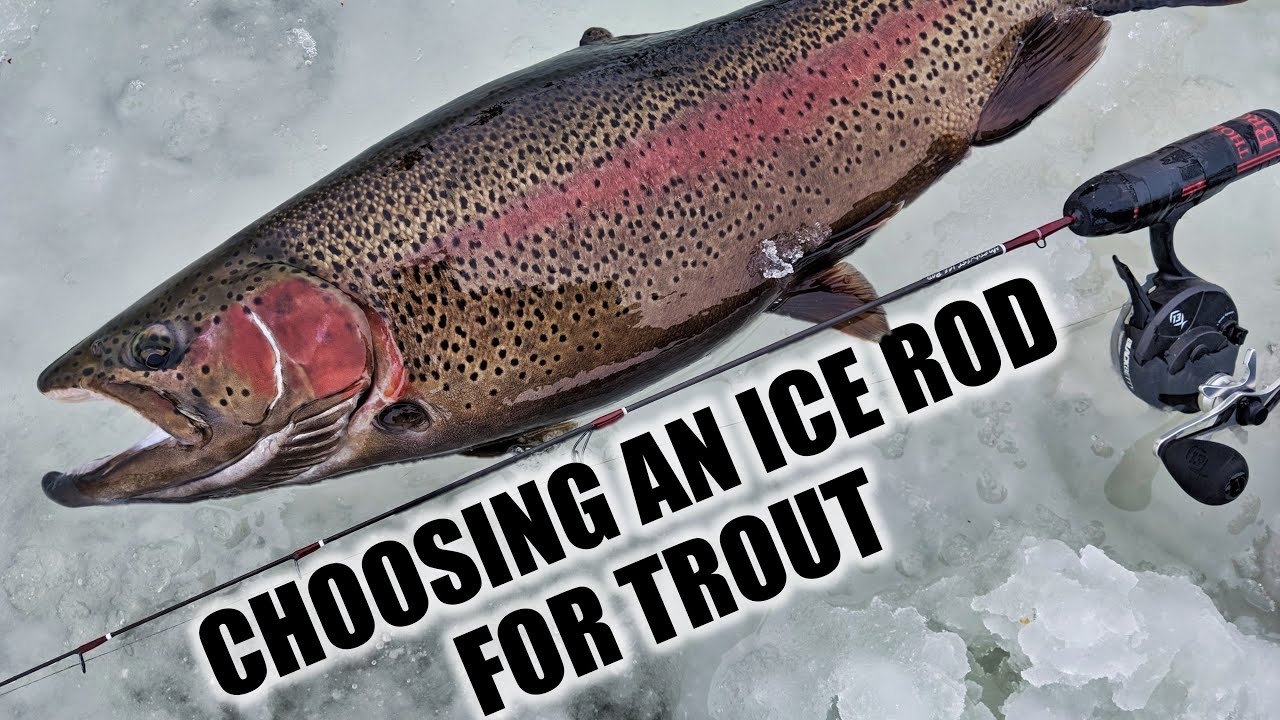 Best Ice Fishing Rod for Trout