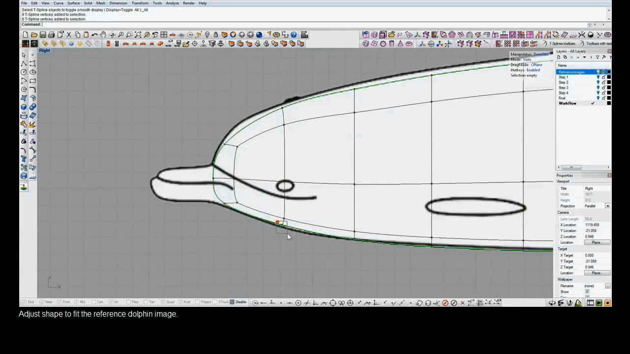 T-Splines 2.0 for Rhino tutorial: Modeling a dolphin Part 1
