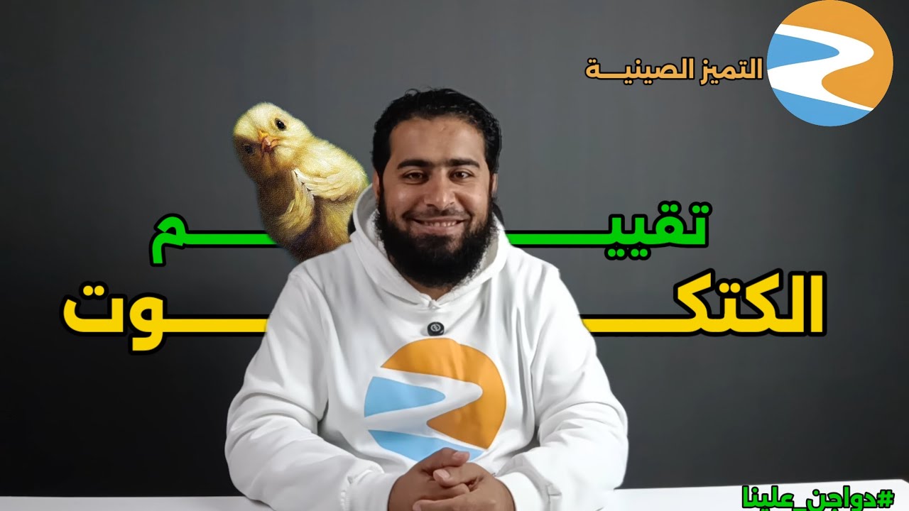 تقييم الكتكوت | دواجن علينا| التميز أجود علف صينى فى مصر
