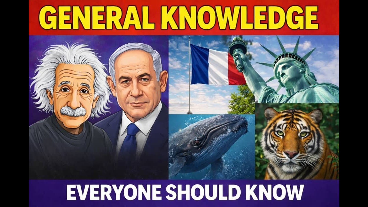 Can you answer these questions in 3 seconds? | General Knowledge Quiz #triviaquiz #quizchallenge