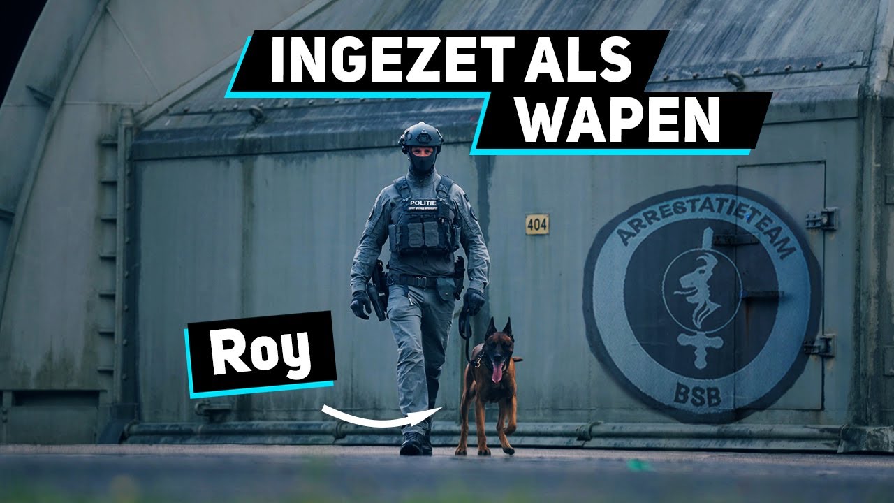 Honden Bij Het Arrestatieteam Van De BSB | Military Dogs | #4