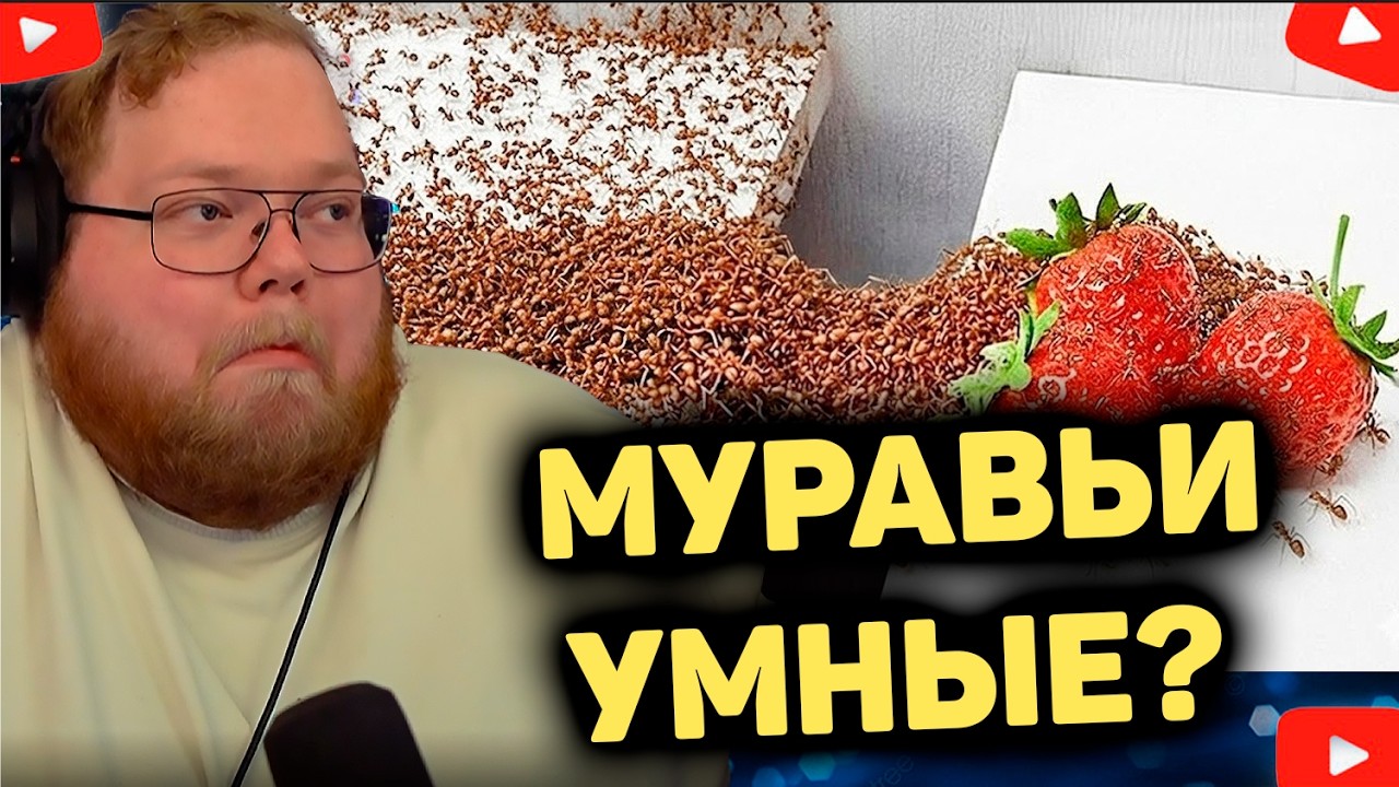 T2x2 В ШОКЕ ОТ МУРАВЬЕВ - 1,000 Муравьёв vs. Препятствий&raquo;
