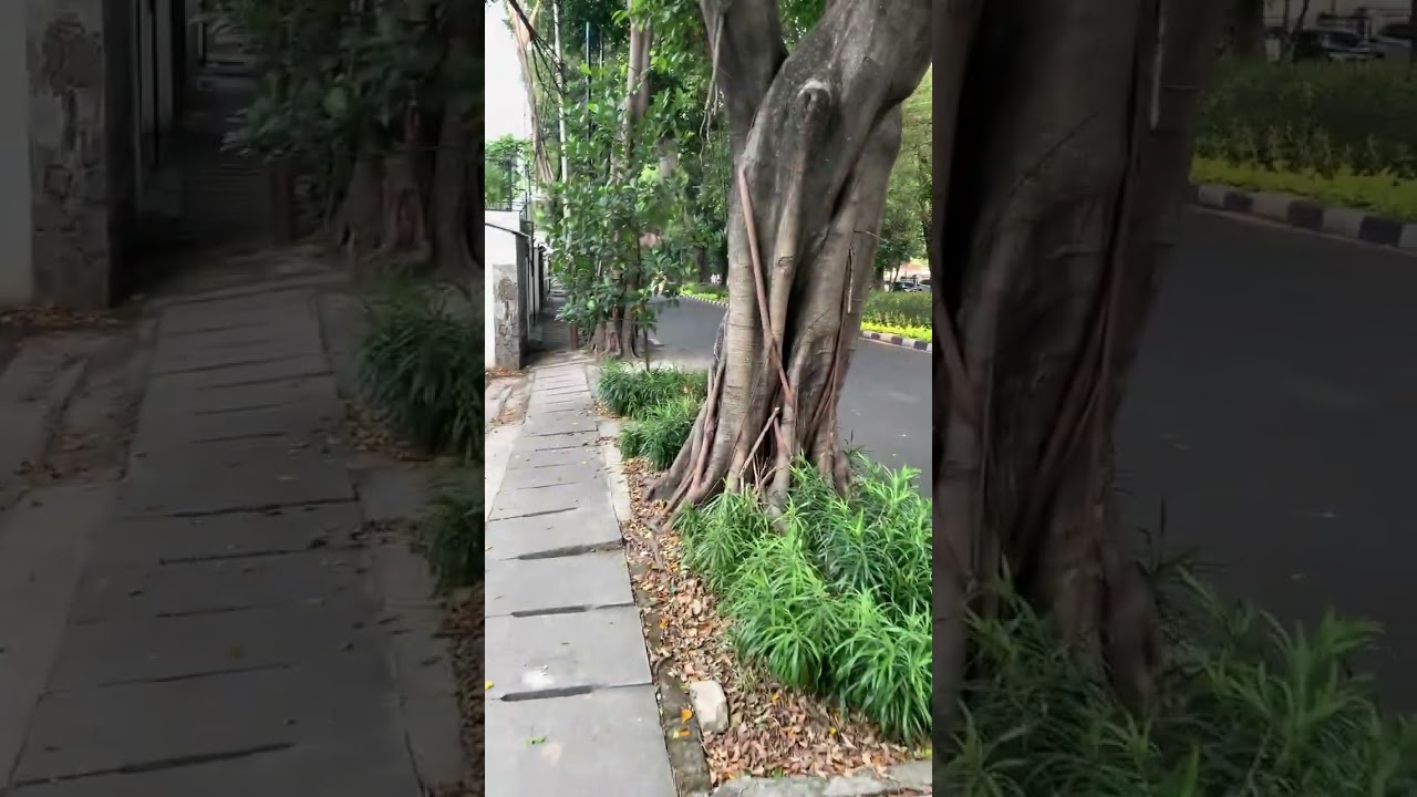 Minggu, 19.10.25 Jalan-jalan ke Taman Situ Lembang & Taman Suropati