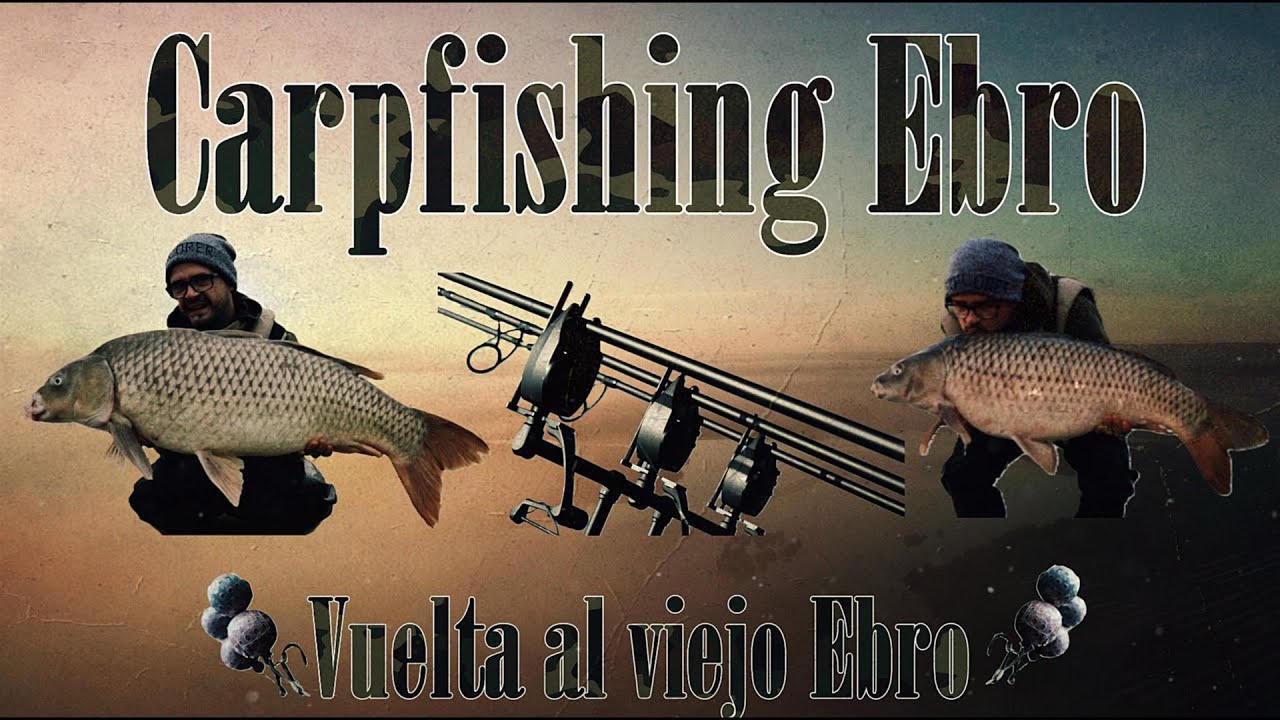 Carpfishing 2024, Vuelta al viejo Ebro (Chiprana)