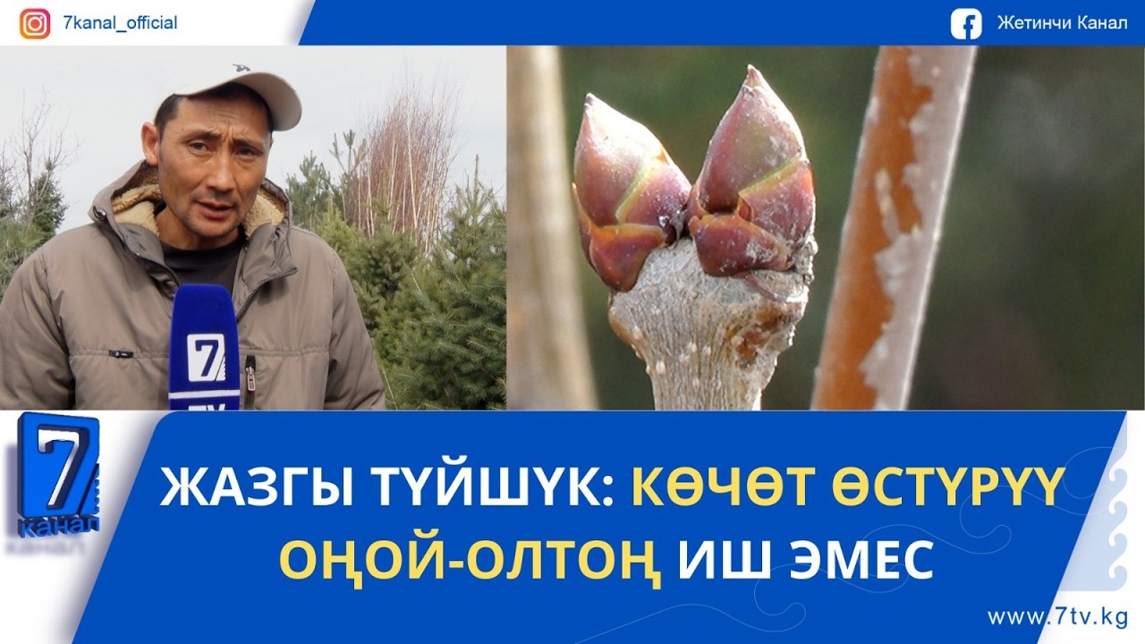 ЖАЗГЫ ТҮЙШҮК: КӨЧӨТ ӨСТҮРҮҮ ОҢОЙ-ОЛТОҢ ИШ ЭМЕС