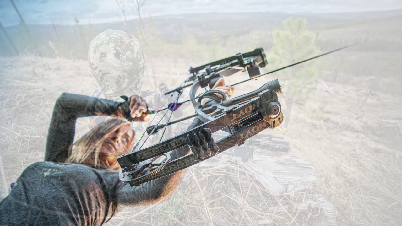 Bow Review: Hoyt Torrex