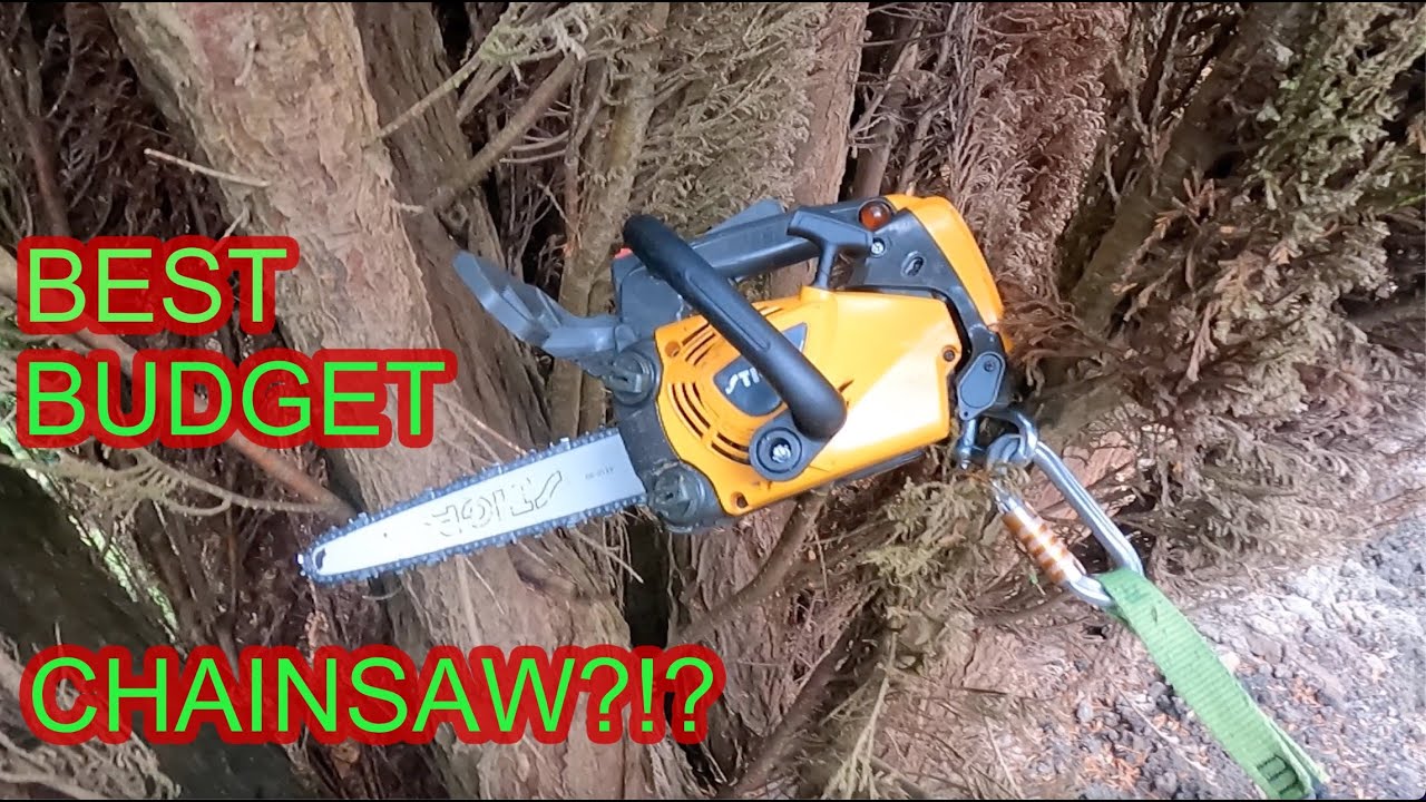 THW BEST BUDGET CHAINSAW!!!