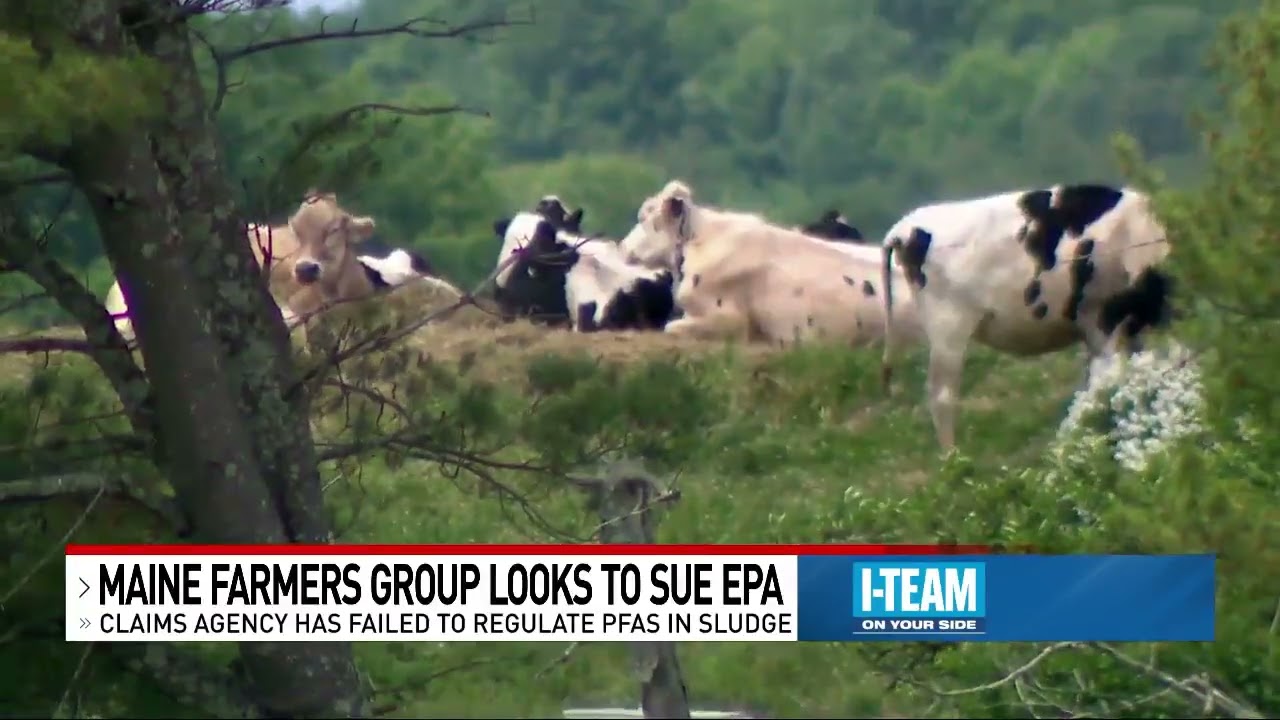 'We don't need more studies:' Maine organic farmers could sue EPA over 'forever chemicals'