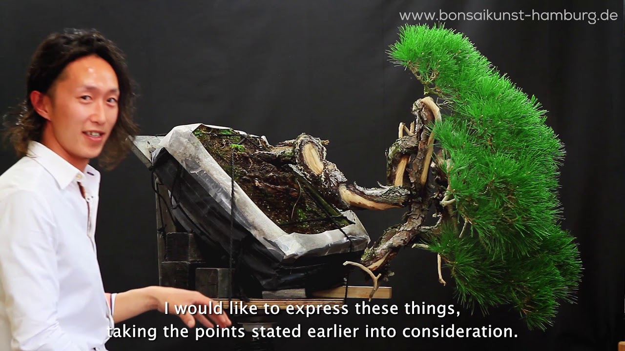 Hiroaki Suzuki Bonsai demo - BonsaiKunst