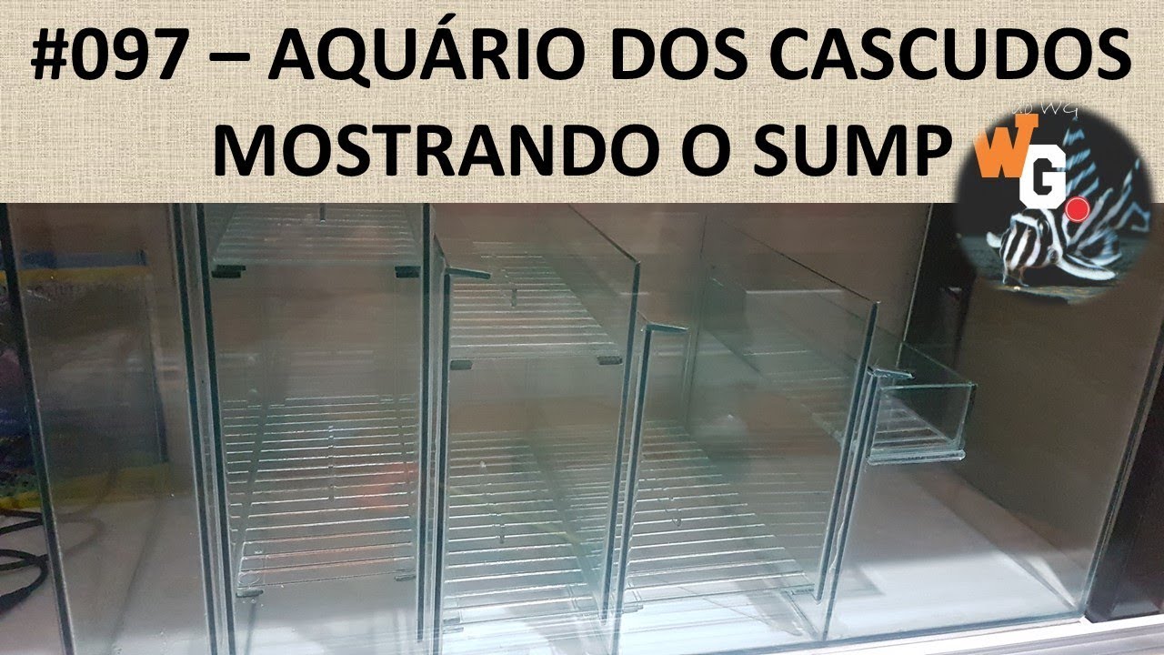 Mostrando o SUMP do Aquário dos Cascudos - 