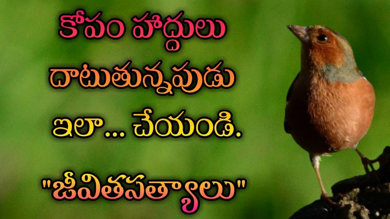 జీవిత సత్యాలు #308 |మంచి మాటలు|Inspirational quotes|Motivational quotes|సూక్తులు|Telugu quotes