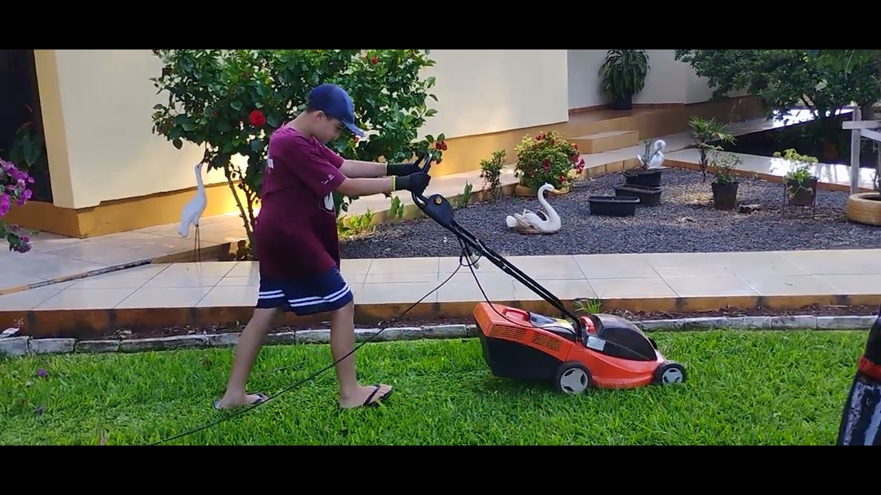 Cortando a grama #grama#cortandoagrama#agro
