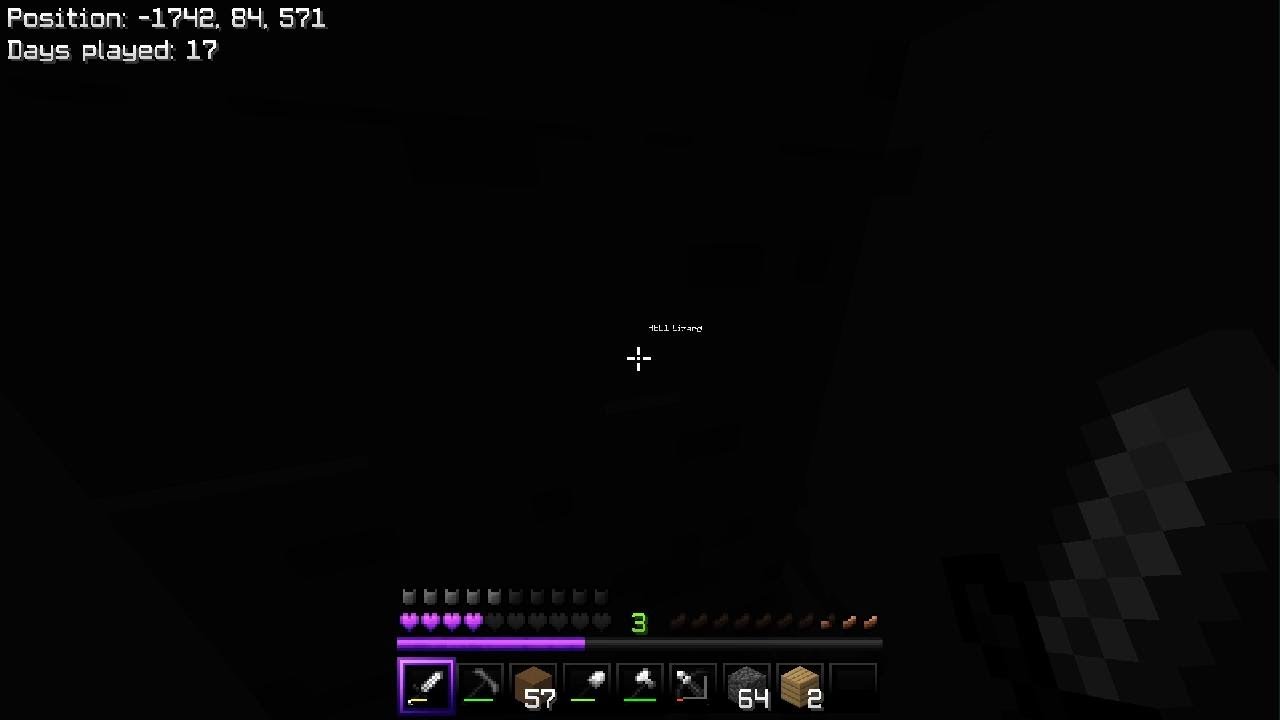 Minecraft_20260223204327