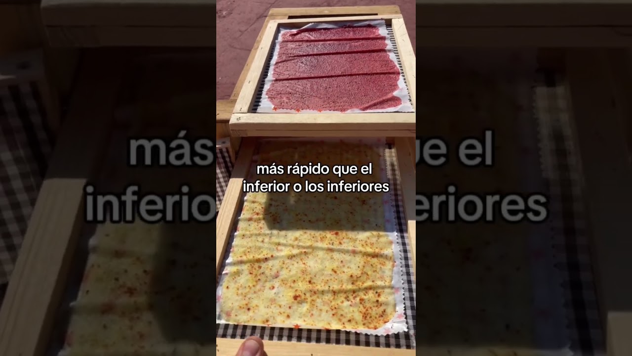 Una Receta👩🏻‍🍳 para elaborar en tu deshidratador solar🍓🍍🌞Rollito de fruta