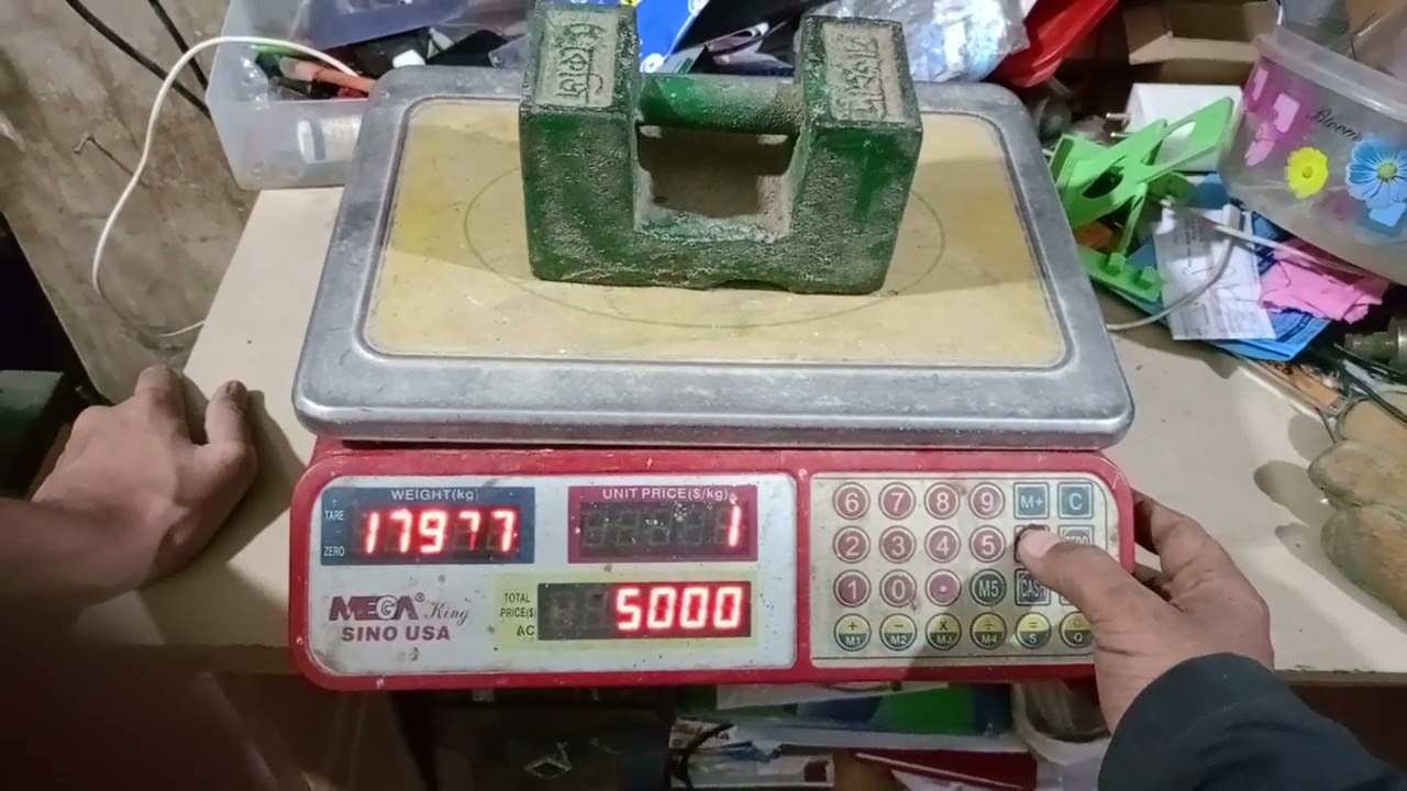 mega digital scale service 40 kg