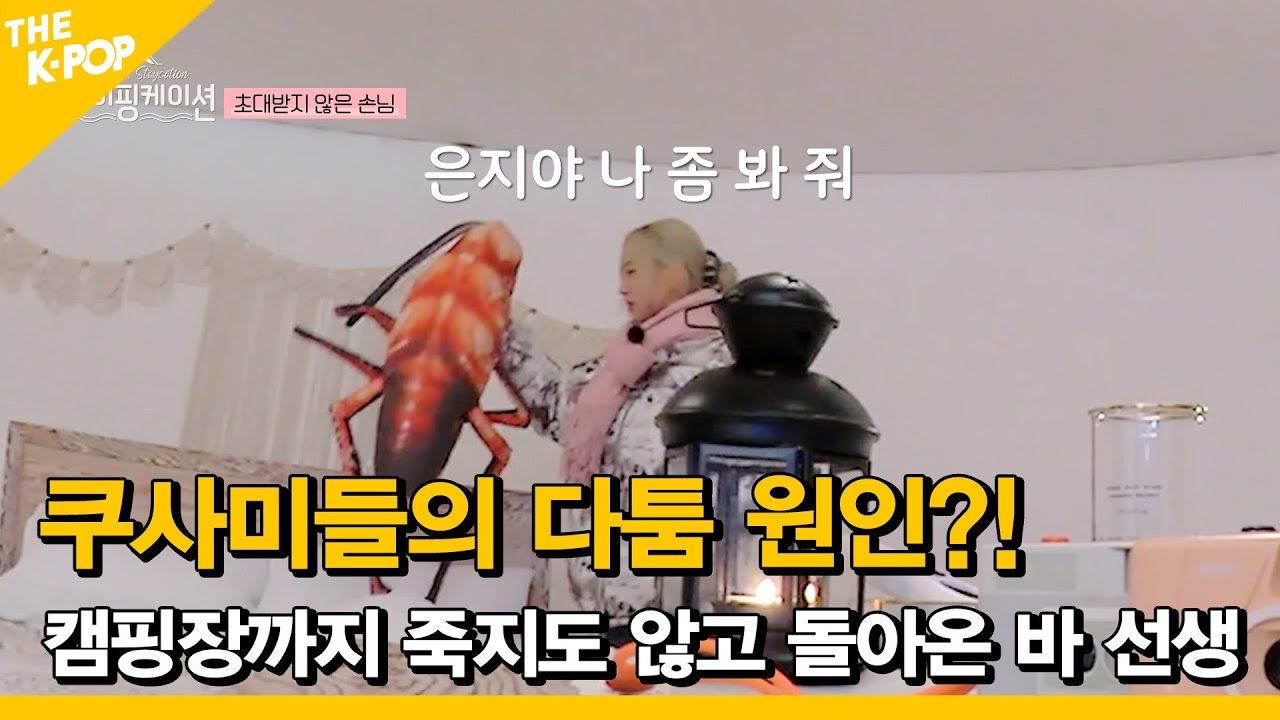 [6회] 쿠사미들의 다툼 원인?! 캠핑장까지 죽지도 않고 돌아온 바 선생 에이핑케이션ㅣApinkation