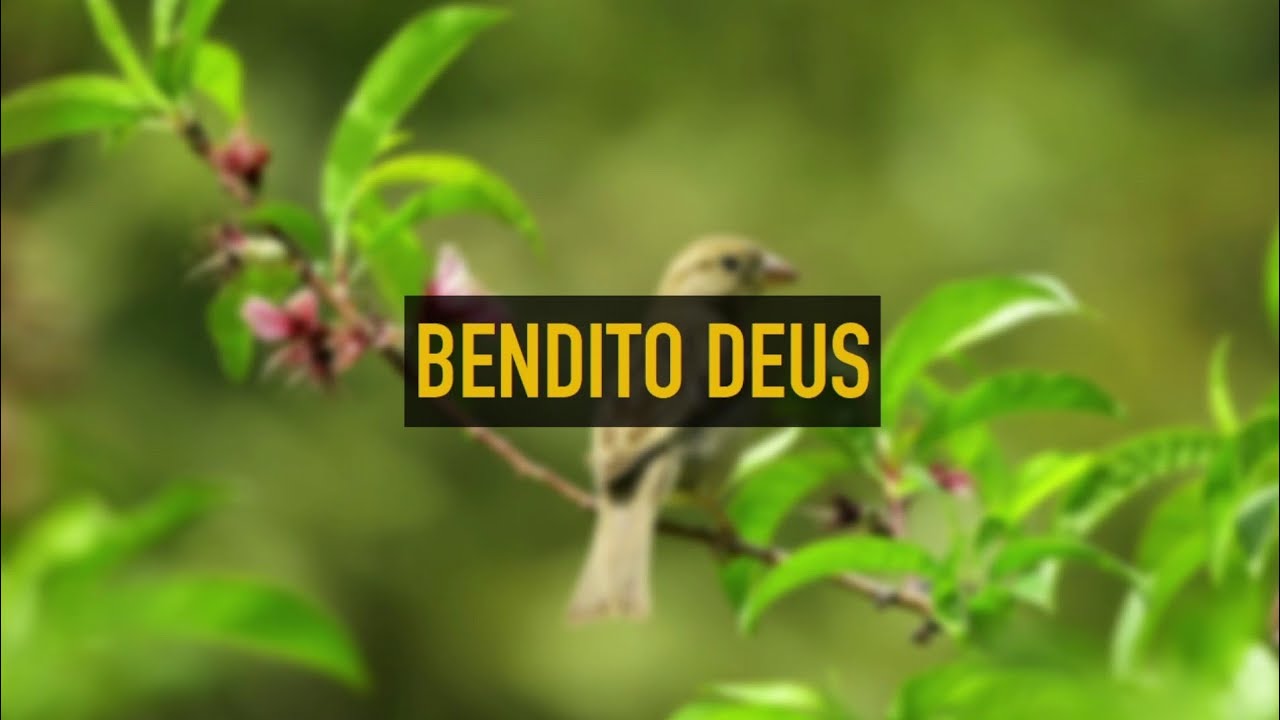 Bendito Deus - Betty Souza - Playback