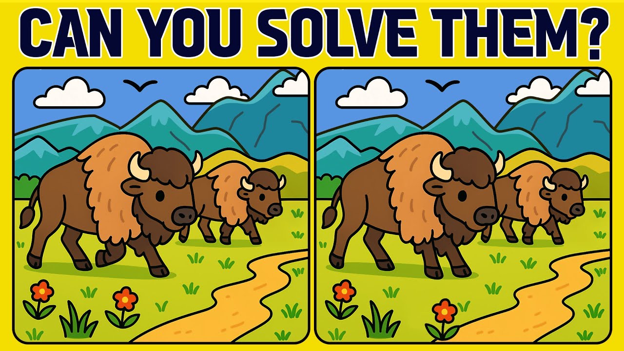 Spot the Difference 5 Calm Puzzles to Unwind and Focus (Normal)