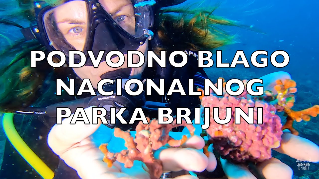 PODVODNO BLAGO NACIONALNOG PARKA - BRIJUNI