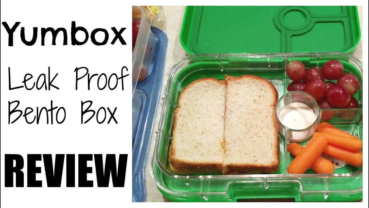 YumBox Leak Proof Bento Box Review (Yumbox Panino)