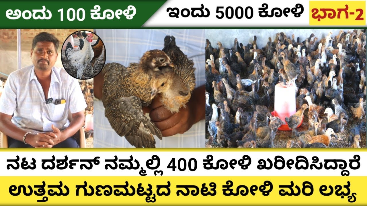 ✅ How to Start Poultry Farming | Complete Tips & Setup Guide | Poultry Farming in India |