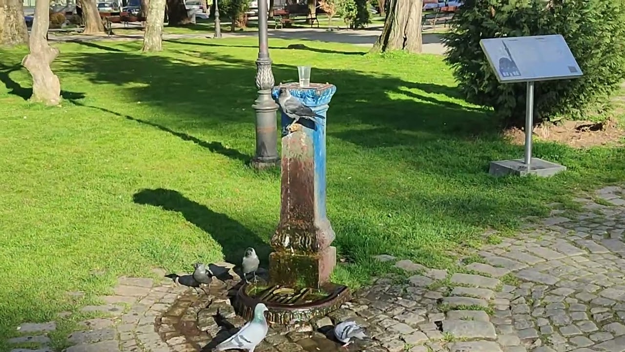Tv Tera Bitola   Fontanite i cesmite vo Bitola,simbol na negriza namesto gradska gordost 12 03 2026