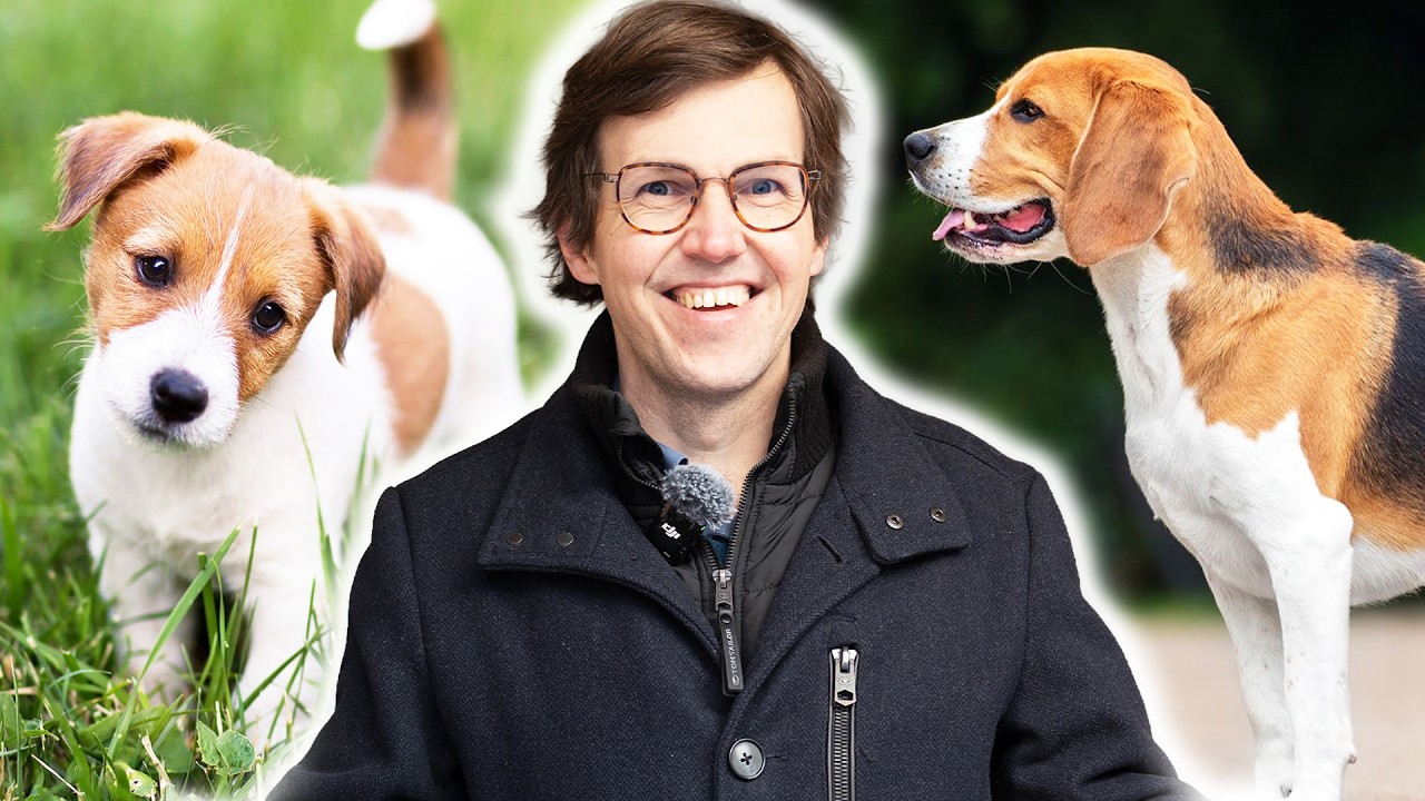 Pes v Praze: Nejvíce dog friendly město na světě