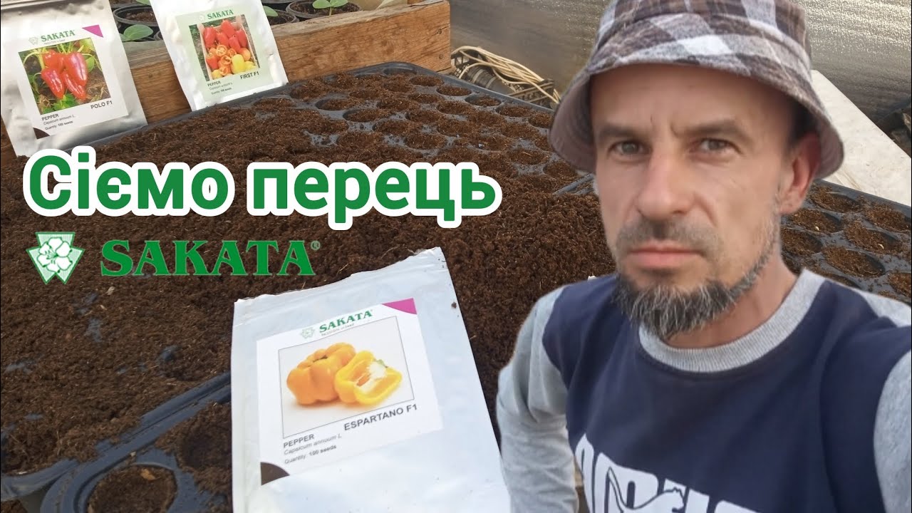 Висів перцю від Sakata 