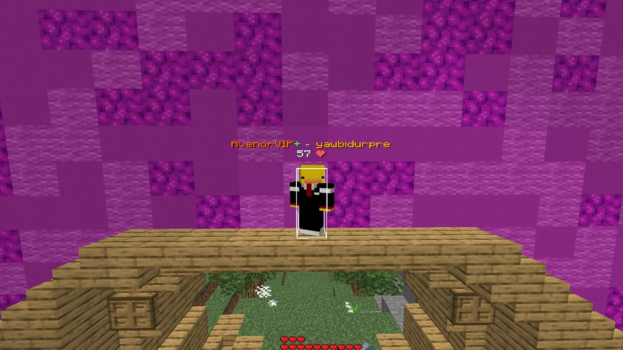 AvenorCraft Kill Montage #2